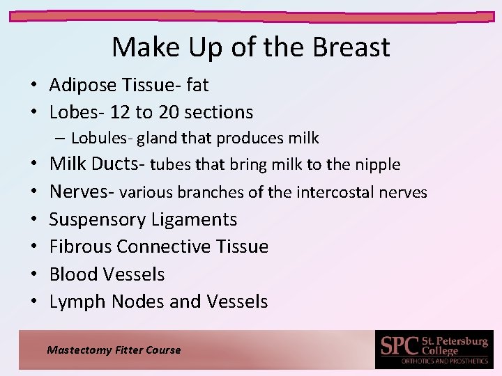 Make Up of the Breast • Adipose Tissue- fat • Lobes- 12 to 20