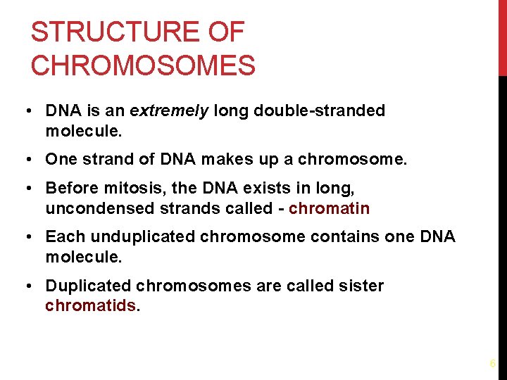 STRUCTURE OF CHROMOSOMES • DNA is an extremely long double-stranded molecule. • One strand