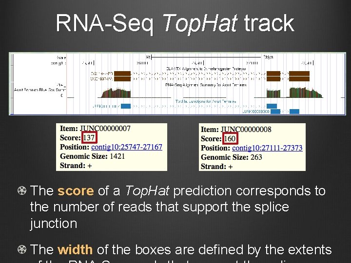 RNA-Seq Top. Hat track The score of a Top. Hat prediction corresponds to the