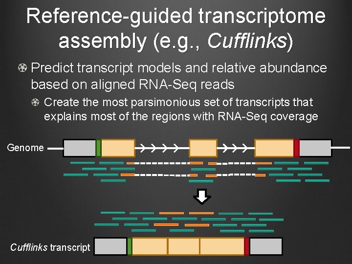 Reference-guided transcriptome assembly (e. g. , Cufflinks) Predict transcript models and relative abundance based