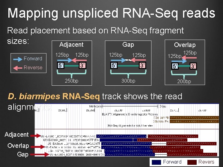 Mapping unspliced RNA-Seq reads Read placement based on RNA-Seq fragment sizes: Gap Adjacent Overlap