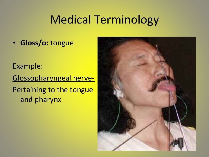 Medical Terminology • Gloss/o: tongue Example: Glossopharyngeal nerve. Pertaining to the tongue and pharynx