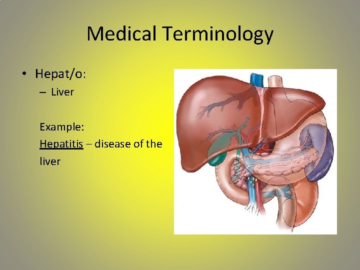 Medical Terminology • Hepat/o: – Liver Example: Hepatitis – disease of the liver 