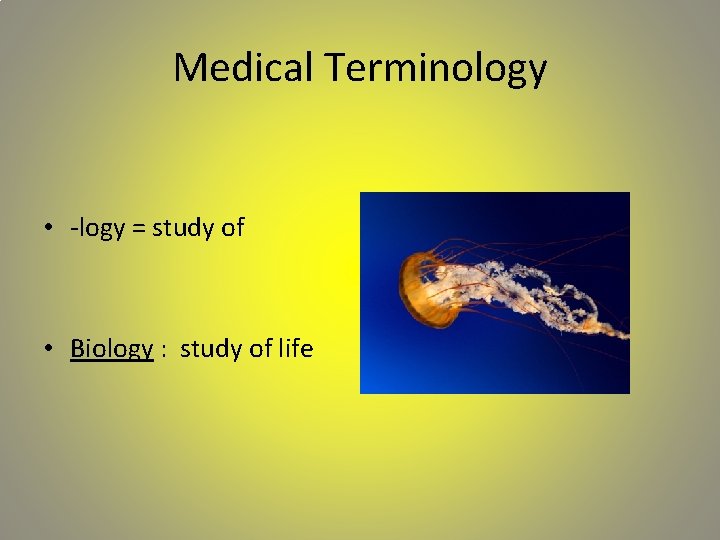 Medical Terminology • -logy = study of • Biology : study of life 