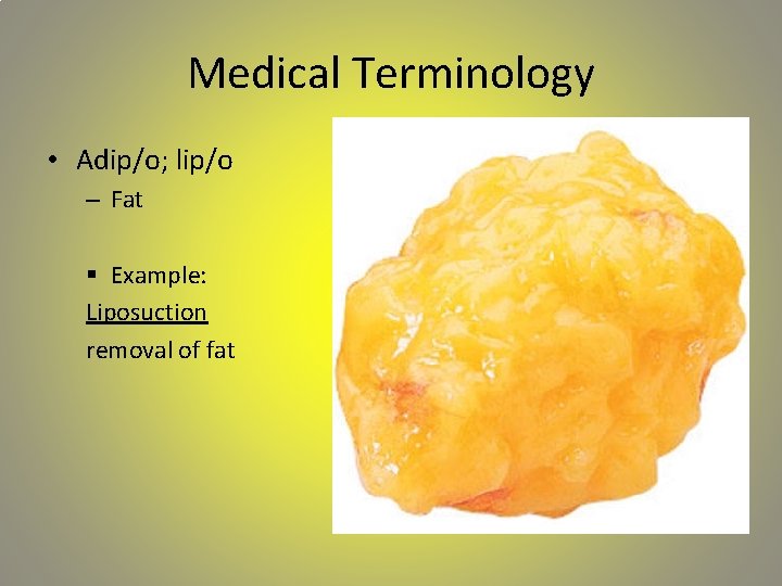 Medical Terminology • Adip/o; lip/o – Fat § Example: Liposuction removal of fat 
