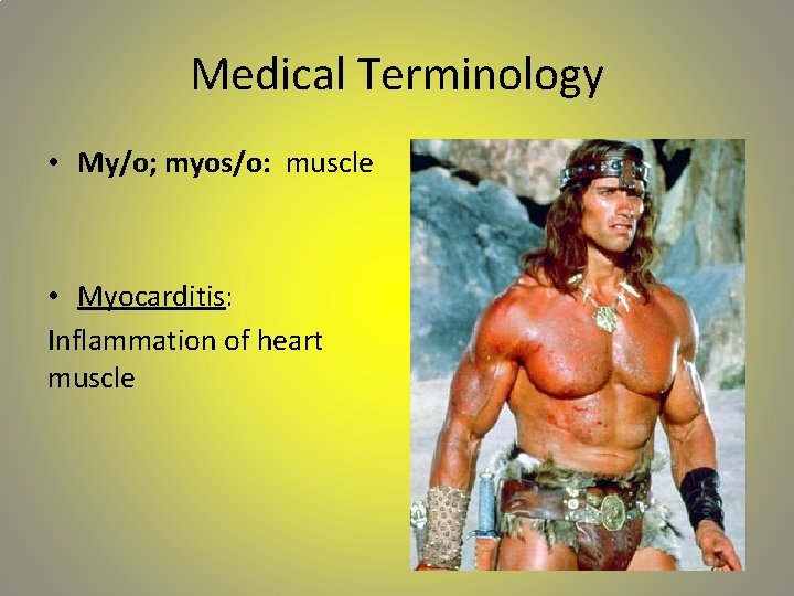 Medical Terminology • My/o; myos/o: muscle • Myocarditis: Inflammation of heart muscle 