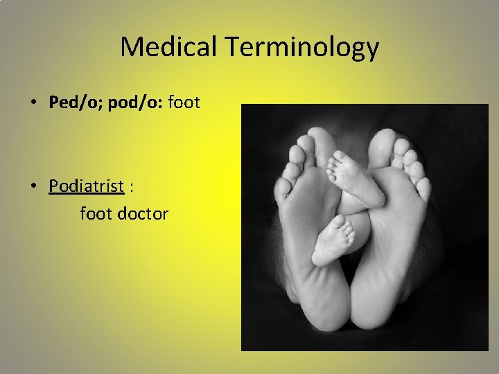 Medical Terminology • Ped/o; pod/o: foot • Podiatrist : foot doctor 
