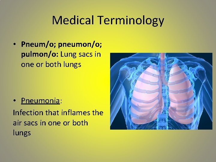 Medical Terminology • Pneum/o; pneumon/o; pulmon/o: Lung sacs in one or both lungs •