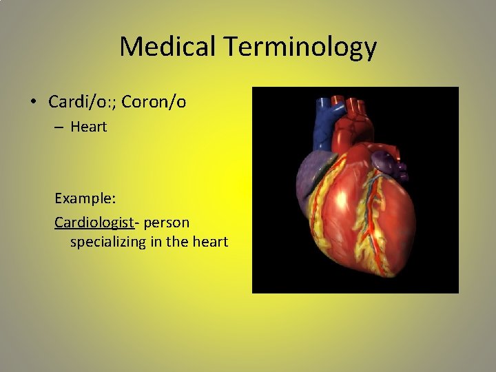 Medical Terminology • Cardi/o: ; Coron/o – Heart Example: Cardiologist- person specializing in the