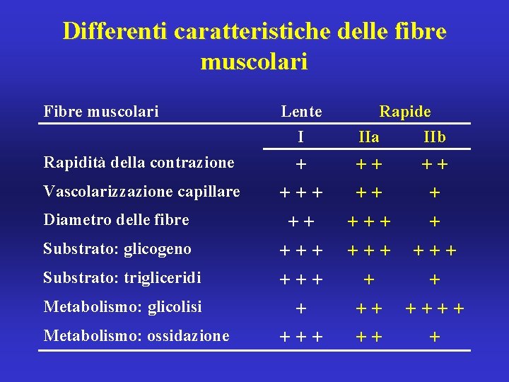 Differenti caratteristiche delle fibre muscolari Fibre muscolari Lente I Rapide IIa IIb Rapidità della