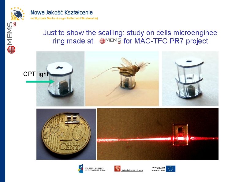 Just to show the scalling: study on cells microenginee ring made at for MAC-TFC