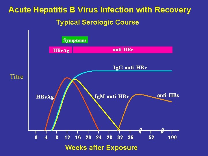 Acute Hepatitis B Virus Infection with Recovery Typical Serologic Course Symptoms HBe. Ag anti-HBe