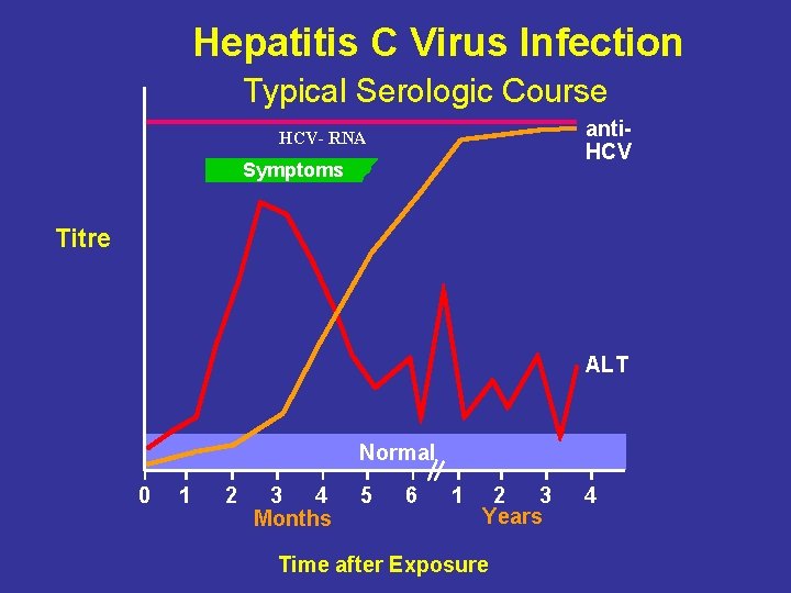 Hepatitis C Virus Infection Typical Serologic Course anti. HCV- RNA Symptoms Titre ALT Normal