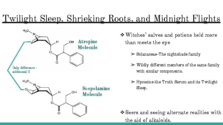 Twilight Sleep, Shrieking Roots, and Midnight Flights Atropine Molecule ❖Witches’ salves and potions held