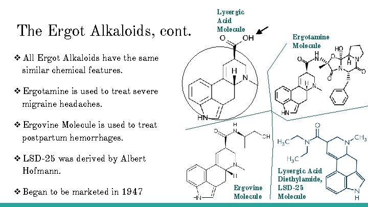 The Ergot Alkaloids, cont. Lysergic Acid Molecule Ergotamine Molecule ❖All Ergot Alkaloids have the