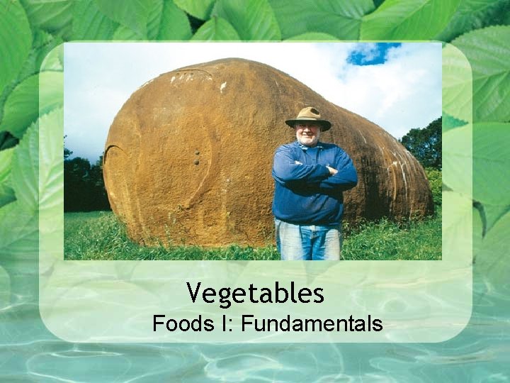 Vegetables Foods I: Fundamentals 