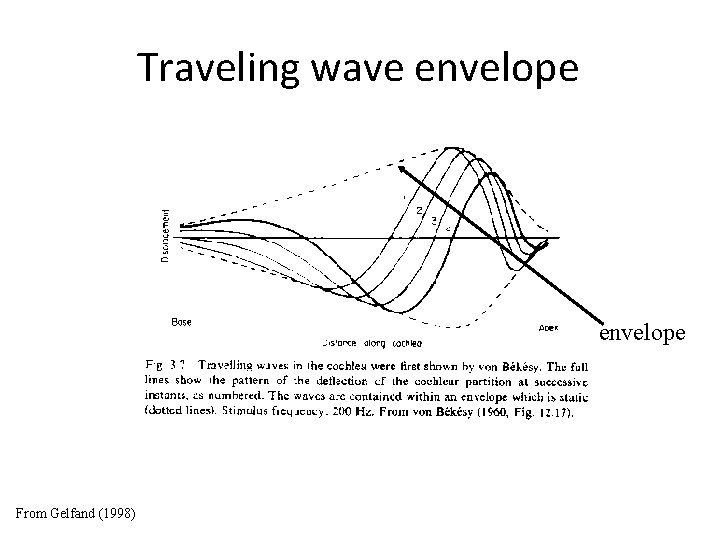 Traveling wave envelope From Gelfand (1998) 