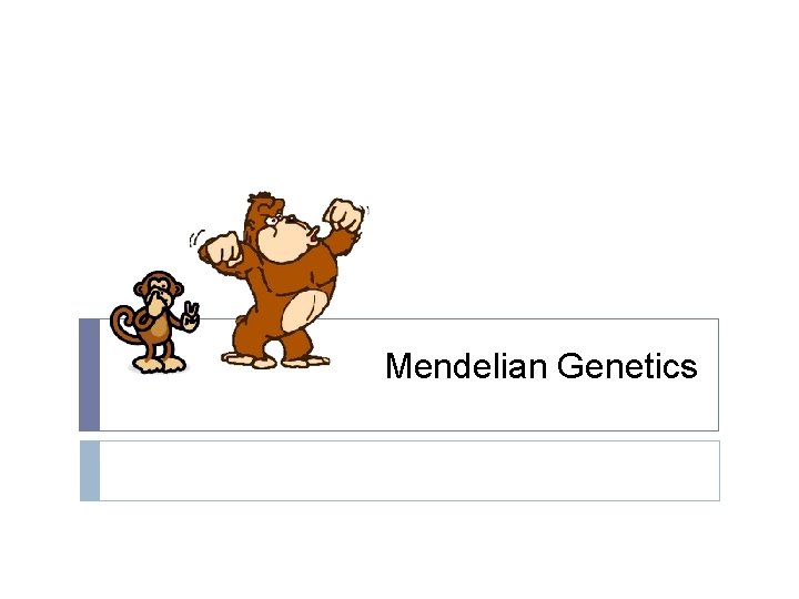 Mendelian Genetics 