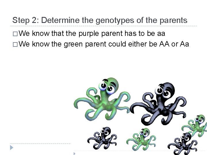 Step 2: Determine the genotypes of the parents � We know that the purple