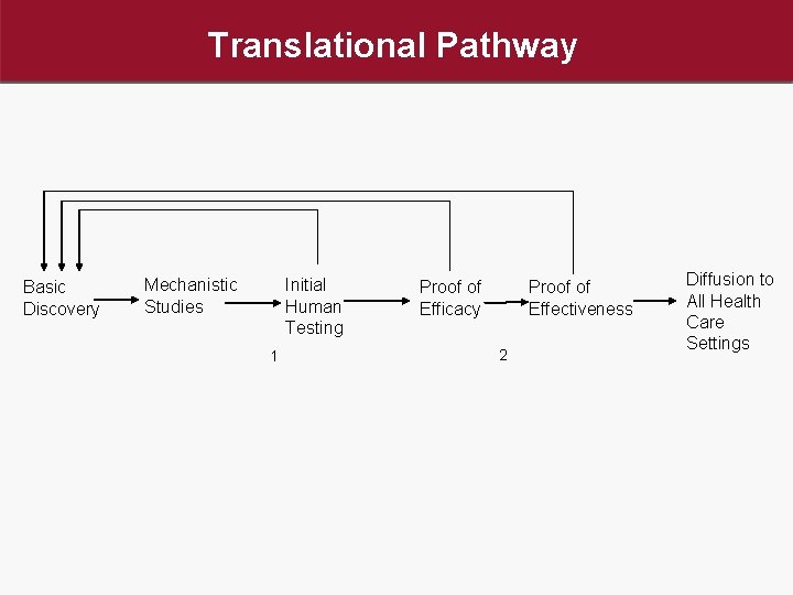 Translational Pathway Basic Discovery Mechanistic Studies Initial Human Testing 1 Proof of Efficacy Proof