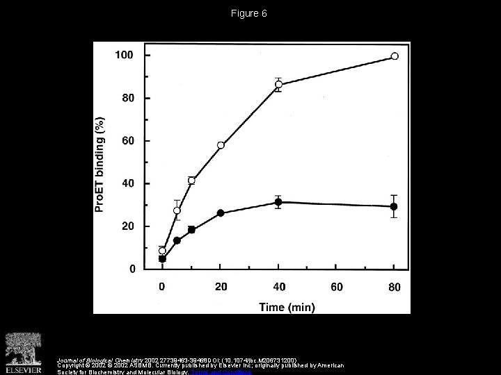 Figure 6 Journal of Biological Chemistry 2002 27739463 -39468 DOI: (10. 1074/jbc. M 206731200)