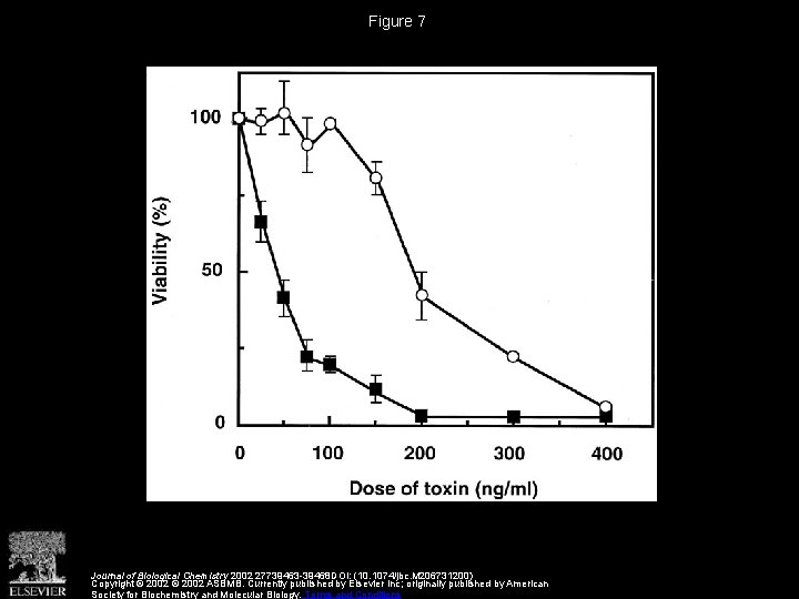 Figure 7 Journal of Biological Chemistry 2002 27739463 -39468 DOI: (10. 1074/jbc. M 206731200)