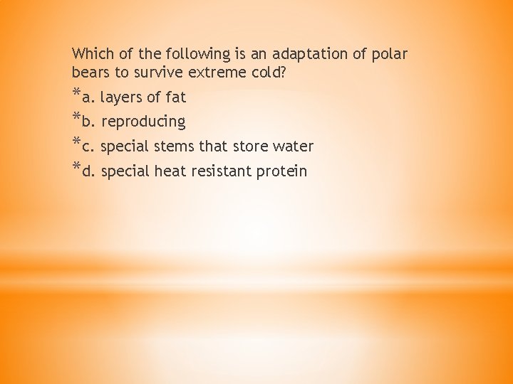 Which of the following is an adaptation of polar bears to survive extreme cold?