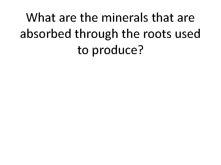 What are the minerals that are absorbed through the roots used to produce? 