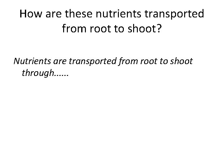 How are these nutrients transported from root to shoot? Nutrients are transported from root