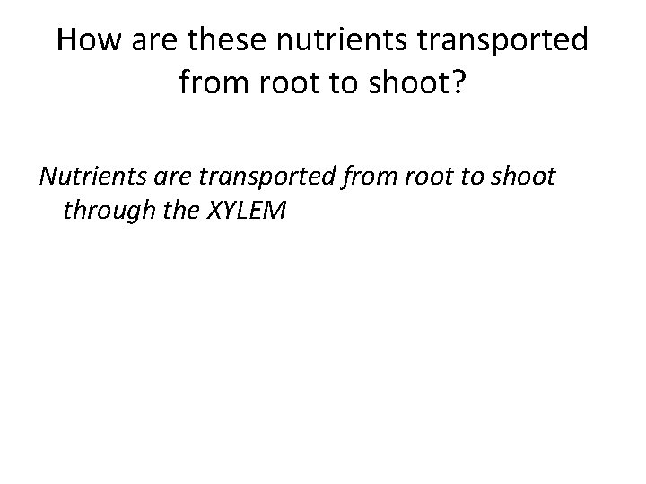 How are these nutrients transported from root to shoot? Nutrients are transported from root
