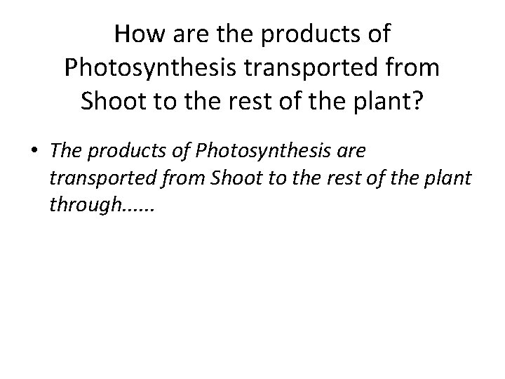 How are the products of Photosynthesis transported from Shoot to the rest of the