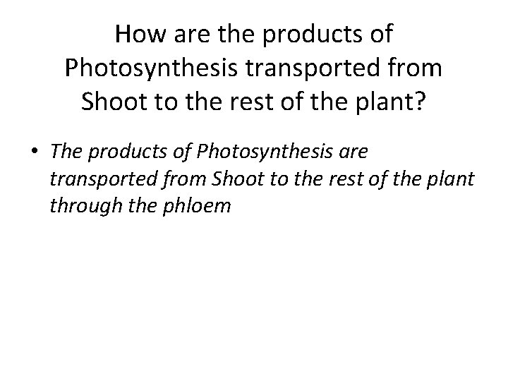 How are the products of Photosynthesis transported from Shoot to the rest of the