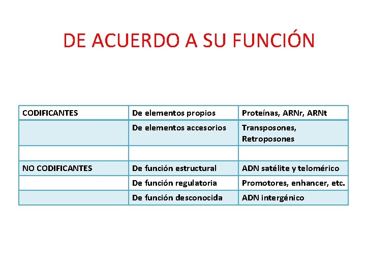 DE ACUERDO A SU FUNCIÓN CODIFICANTES NO CODIFICANTES De elementos propios Proteínas, ARNr, ARNt