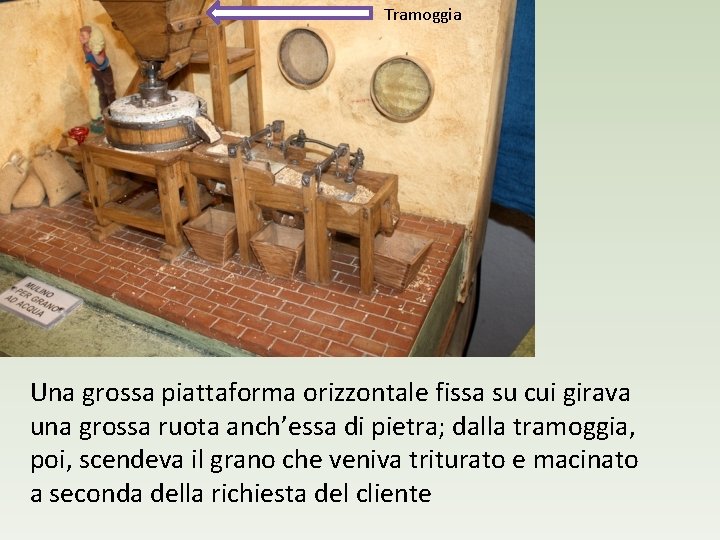 Tramoggia Una grossa piattaforma orizzontale fissa su cui girava una grossa ruota anch’essa di