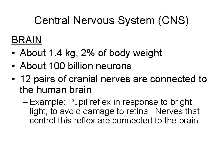 Central Nervous System (CNS) BRAIN • About 1. 4 kg, 2% of body weight