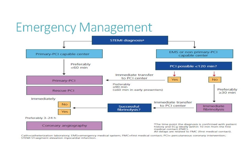 Emergency Management 