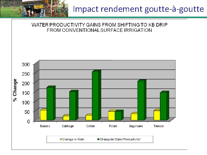 Impact rendement goutte-à-goutte 