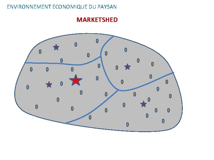 ENVIRONNEMENT ECONOMIQUE DU PAYSAN MARKETSHED 