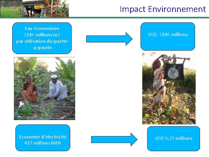 Impact Environnement Eau économisée 3146 millions m 3 par utilisation du goutte -à-goutte Economie