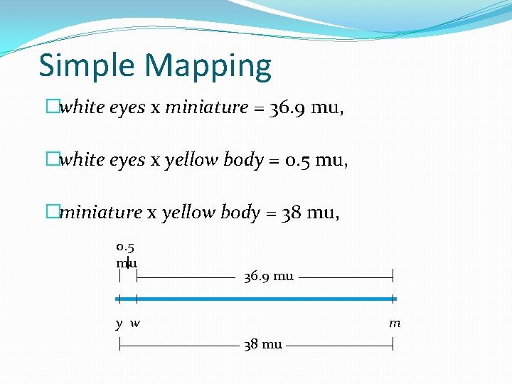 Simple Mapping �white eyes x miniature = 36. 9 mu, �white eyes x yellow