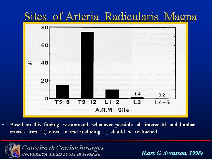 Sites of Arteria Radicularis Magna • Based on this finding, recommend, whenever possible, all