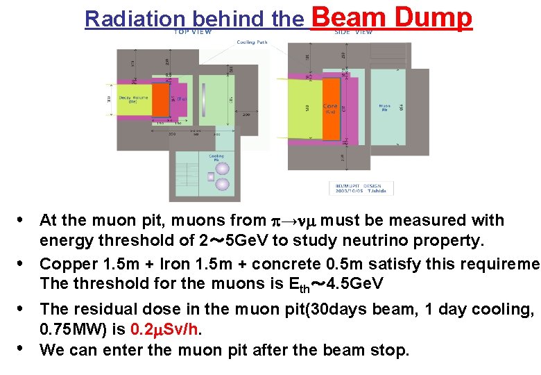 Radiation behind the Beam ● ● Dump At the muon pit, muons from p→nm