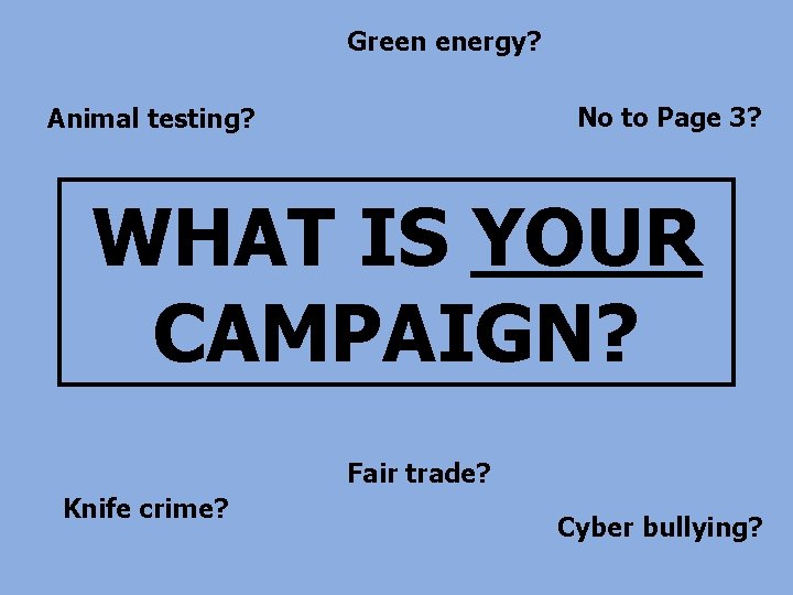 Green energy? No to Page 3? Animal testing? WHAT IS YOUR CAMPAIGN? Fair trade?