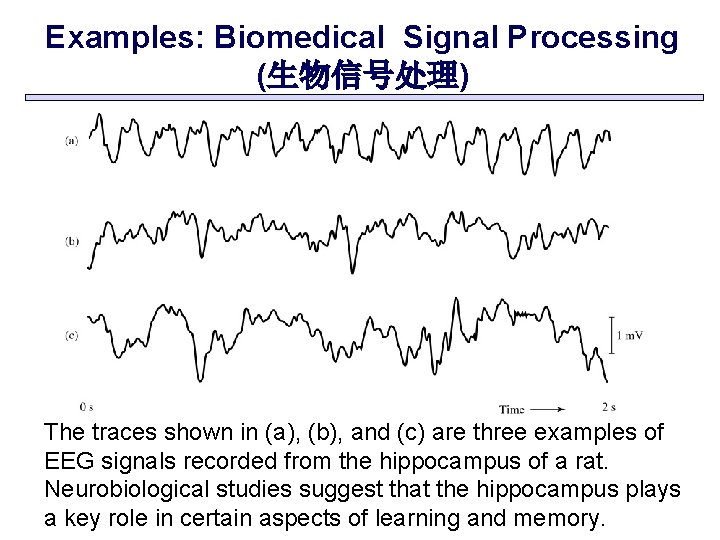 Examples: Biomedical Signal Processing (生物信号处理) The traces shown in (a), (b), and (c) are