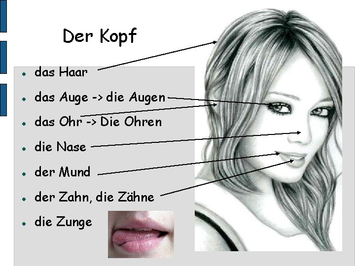 Der Kopf das Haar das Auge -> die Augen das Ohr -> Die Ohren