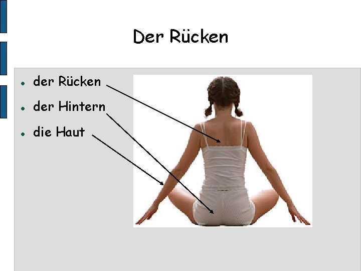 Der Rücken der Rücken der Hintern die Haut 