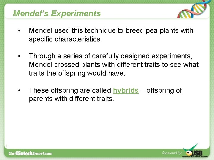Mendel’s Experiments 4 • Mendel used this technique to breed pea plants with specific