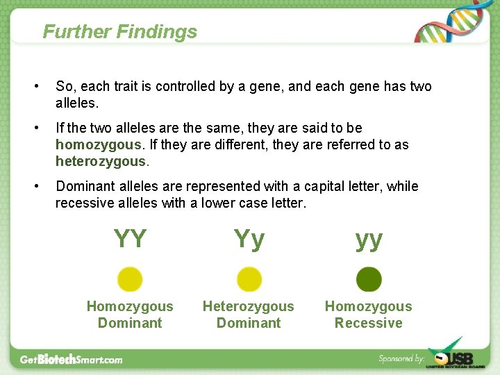 Further Findings • So, each trait is controlled by a gene, and each gene