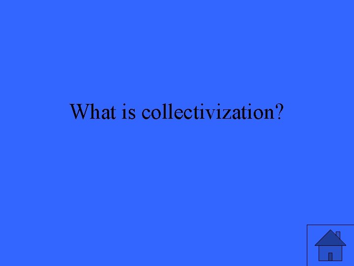 What is collectivization? 