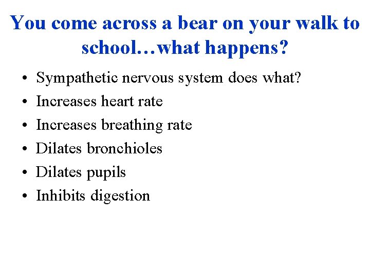 You come across a bear on your walk to school…what happens? • • •